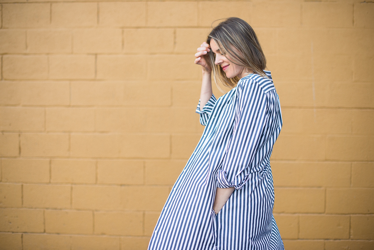 Everlane striped hotsell shirt dress