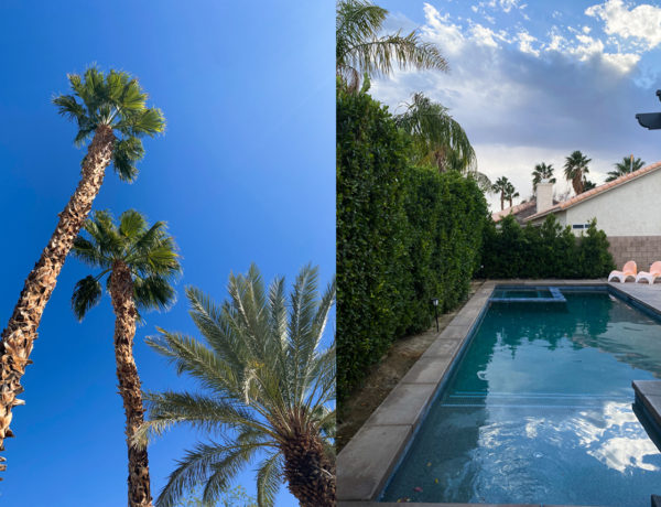Palm Springs: A (Slow) Vacation Diary