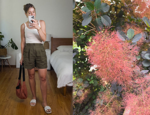 What I Wore: Summer Repeats (and more life updates)